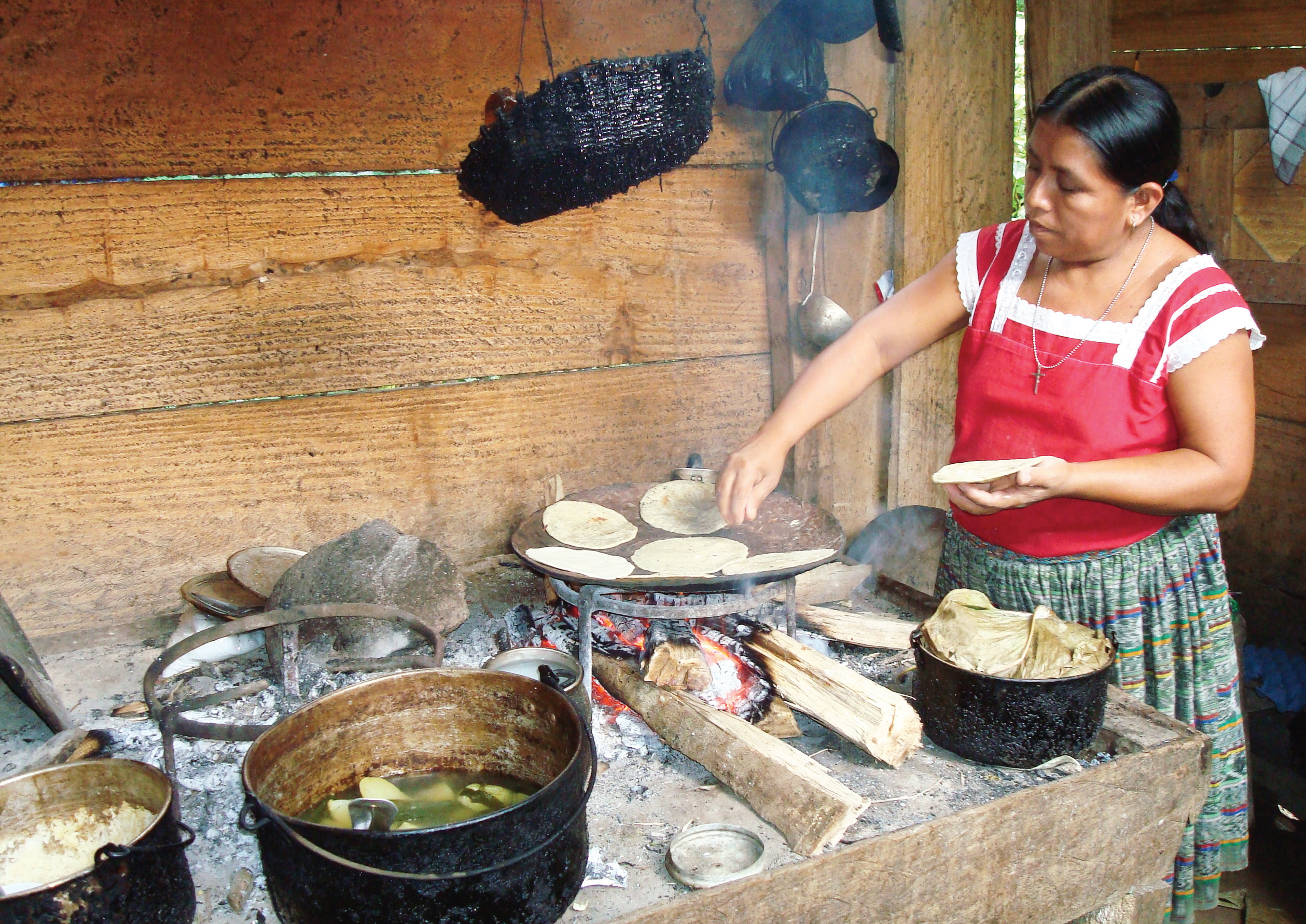 El Derecho a la Alimentación y la Situación de Defensoras y Defensores de Derechos Humanos en Guatemala